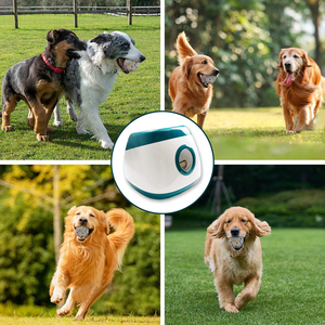 Yeni varış otomatik evcil hayvan topu başlatıcısı interaktif Fetch oyuncak köpekler için birden fazla renk aktif evcil hayvanlar için mükemmel - Product Image 6