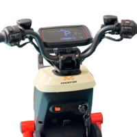 Scooter Électrique Rechargeable Type Moto de 1000 W à 2000 W, Vitesse 100 km/h, Cyclomoteur