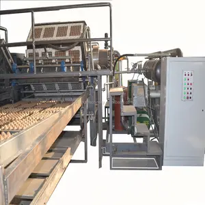 6000pcs per hour capacity paper egg tray making machines make egg trays