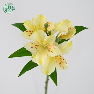 Fleurs artificielles d'<span class=keywords><strong>Alstroemeria</strong></span> de qualité supérieure, 62 cm, pour bouquet de mariée, mariage, décoration de la maison, design floral - Product Image 2