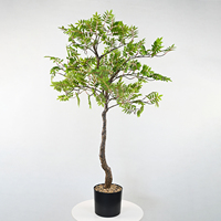 Plante Artificielle Vibrante en Pot : Ficus, Bambou, Myrte – Idéale pour la Décoration Intérieure des Hôtels, Restaurants, Centres Commerciaux et Salons Domestiques au Printemps