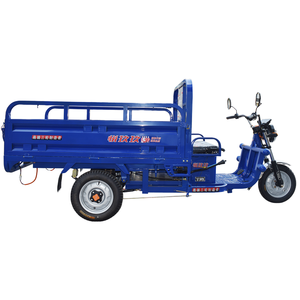 Tricycle électrique 1.8m Handicap Corps ouvert 60v Tension 1000w Moteur électrique Capacité de charge utile de 400kg Trike en acier pour électrique - Product Image 2