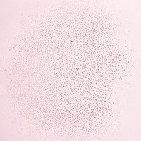 Marque privée Hydratant Bio De Noix De Coco et L'eau de Rose Brume Hydratante