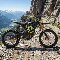 Vélo électrique tout-terrain Surron Light Bee X 8KW 60V 40Ah pour adultes, moto électrique tout-terrain Surron
