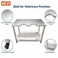 Table d'échographie vétérinaire HEYI en acier inoxydable 304 avec base lestée et coins arrondis pour lapins, chiens et chats