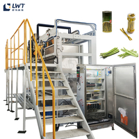 Machine de remplissage de légumes marinés LWT Ligne de traitement des cornichons Bouteille Chaîne de production de choucroute kraut Équipement d'emballage