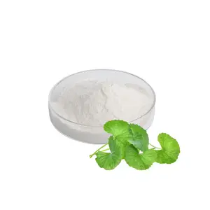 10:1 20:1 Centella Asiatica Extract Powder 10% Gotu Kola Extract