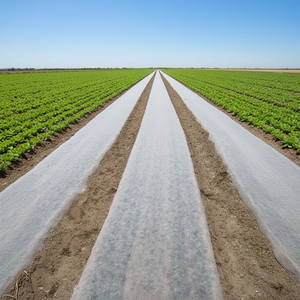 Cubierta Agrícola Impermeable Elástica de Material No Tejido, Precio Razonable, Gran Venta 2023, Nuevo Material, Peso Pesado, <span class=keywords><strong>110</strong></span> GSM, para Plantas - Product Image 3