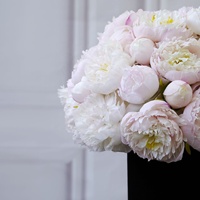 Nouveauté, grande quantité, fleur éternelle pour cadeau, fleur éternelle avec longue tige, pivoine rouge rose conservée dans une boîte