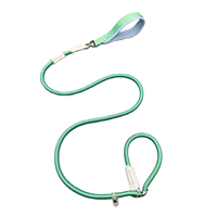 Laisse anti-traction brusque pour chien, type corde en P, en nylon, avec boucle alphabet, pour chiens de petite et moyenne taille, entraînement et promenade