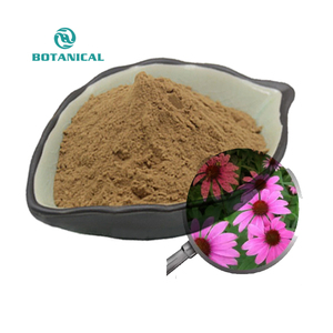 Extracto de <span class=keywords><strong>Echinacea</strong></span> <span class=keywords><strong>Angustifolia</strong></span> al por mayor, extracto de <span class=keywords><strong>Echinacea</strong></span> Purpurea en polvo, polifenoles, ácido cichórico - Product Image 2