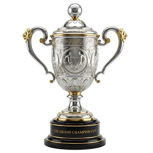 Trofeo di Calcio Personalizzato di Lusso Placcato in Argento e Oro con Manici a Testa di Leone per Campionato di Calcio - Product Image 1