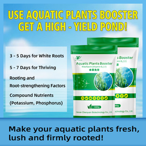 Stimulant <span class=keywords><strong>pour</strong></span> plantes aquatiques CY : Facteur d'enracinement et de renforcement des racines, stabilisateur de milieu aquatique et additifs alimentaires aquatiques - Product Image 2