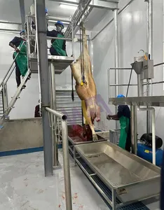 Proyek komersial 100 kepala peralatan pemotongan hewan ternak mesin penyembur sapi untuk rumah pemotongan hewan