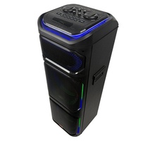 Promotion Stock Enceinte de Fête Double 12 Pouces 80W pour Extérieur avec Audio Bluetooth et Deux Microphones Sans Fil Lumière LED Colorée
