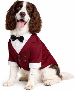 Wholesale Halloween Pet Costumes with Black Bow Tie <b>Cat</b> Costumes for Dogs Suit Wear Outfit Dog <b>Clothes</b> Custom Pet Costumes - Product Image 3