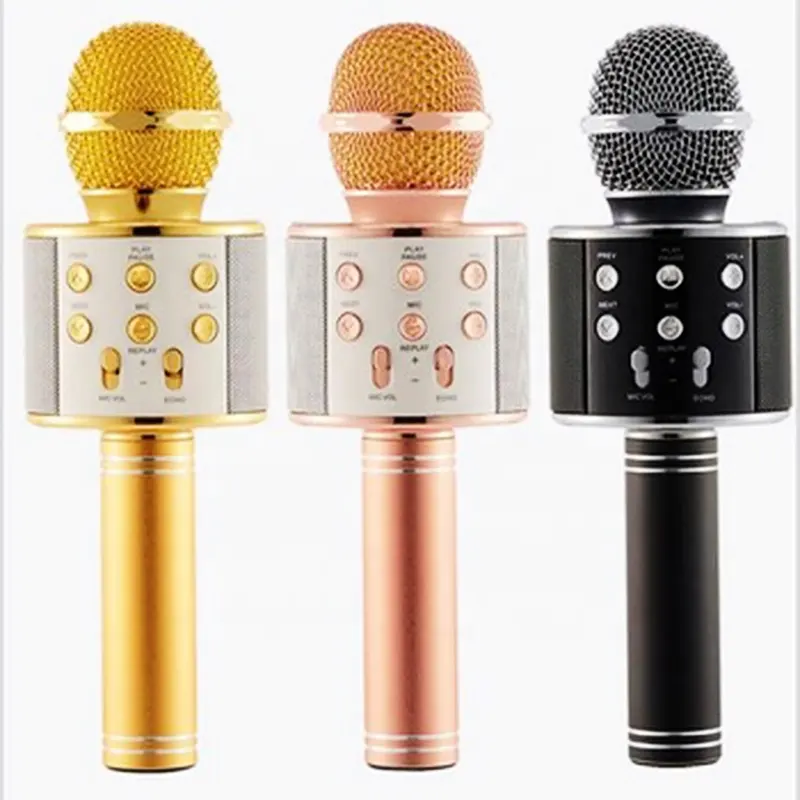 LAIMODA toptan WS858 profesyonel stüdyo çocuk usb'li mikrofon kablosuz hoparlör Karaoke kablosuz mikrofon