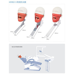 Modelo de Cabeza para Simulación Dental Simple, Tipo Almohada, para Práctica Oral en Mesa - Product Image 2
