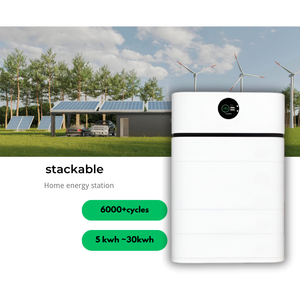 Nordic Warehouse Stock 51,2 VDC 100Ah 15kWh Solar batterie, IP20 Cold Proof -30 ℃ Betrieb 6000 Zyklen - Product Image 2