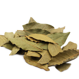 Hojas de <span class=keywords><strong>Bayleaf</strong></span> secas, hierbas y especias individuales, venta al por mayor - Product Image 3
