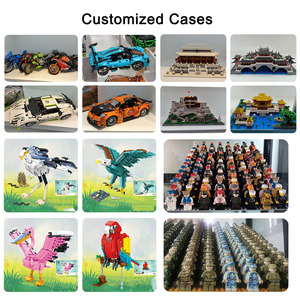 Kit di costruzione della nave personalizzata in una bottiglia blocchi di vendita diretta della fabbrica e giocattoli per la costruzione di modelli giocattolo blocchi di costruzione personalizzati - Product Image 5