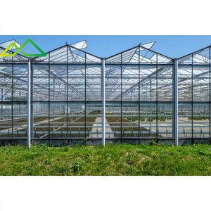 Grande serre multi-chapelles <span class=keywords><strong>en</strong></span> verre pour la culture hors-sol de tomates, concombres, poivrons et melons - Product Image 6