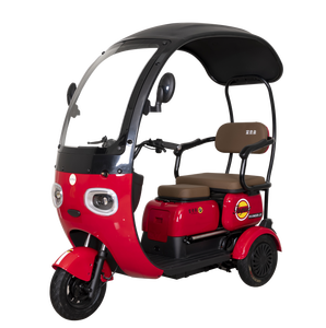FGQ 2026 Tricycle Électrique à Carrosserie Ouverte avec Visage de Panda Mignon, 800W, 25km/h, Capacité 200kg, pour <span class=keywords><strong>Transport</strong></span> Familial et Adultes - Product Image 1