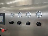 Commerciële automatische mangoschilmachine voor fruit en groenten, groene mangoschilmachine