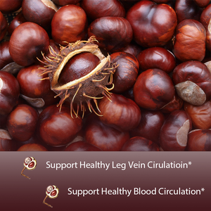 OEM/ODM Ekstra Güçlü At Kestanesi Takviyesi 10:1 Ekstrakt, %20 Aescin, Bacak Damarı ve Kan Dolaşımını Destekler - Product Image 3