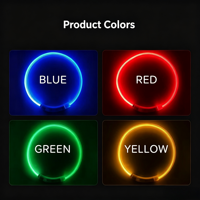 Collar de Perro LED Recargable por USB, con Luz para Caminar de Noche, Etiqueta de Identificación Reflectante, PVC Ecológico, Estilo Japonés y Coreano