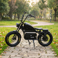Scooter Eléctrico de Dos Ruedas de Aleación de Aluminio de 48V 1500W con Batería de Litio Extraíble de 60AH, Suspensión Completa y Alcance de 120 km