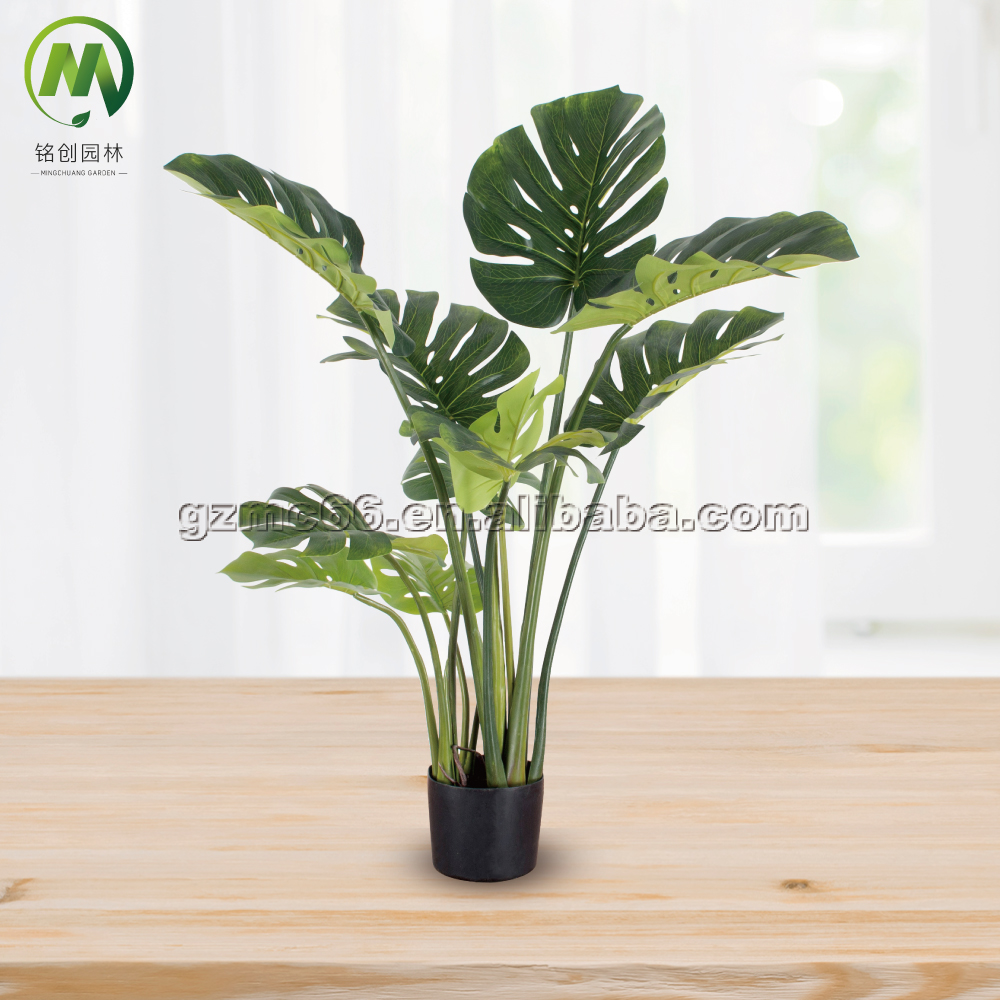 monsteria- 11 leaves- 120cm