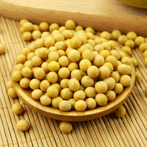 Bán Buôn Non-Biến Đổi Gen Khô Đậu Nành Thực Không Biến Đổi Gen Sản Phẩm Đậu Nành Hạt Giống - Product Image 5