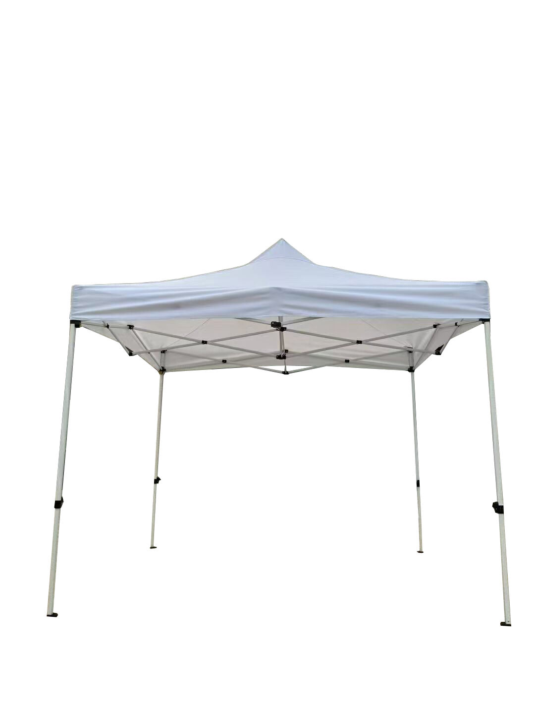 邦楽 tentwenty White White/TenTwenty