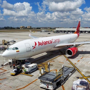 Spedizione Aerea+Espressa DHL FEDEX TNT EMS dalla Cina, Logistica con Assicurazione per FBA, Consegna in 1-3 Giorni per Regno Unito, USA, Canada, Francia, Germania - Product Image 5