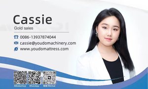 Équipement de coupe de viande fraîche Bande transporteuse Coupe-bande de viande et poitrine de poulet dés Trancheuse à viande - Product Image 6