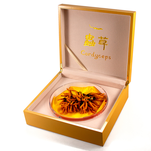 Tancy Storage Box Cordyceps Medicine Packaging Case Luxury Pill Box High Quality Wood Pill Package Tablet Container 28*26*9cm