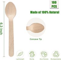 Cuillères jetables écologiques en bois de bouleau, biodégradables et compostables, pour la restauration, lot de 100 pièces, blanches, 165 mm, échantillon gratuit