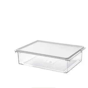 NISEVEN 핫 세일 식품 저장 용기 상자 냉장고 플라스틱 유지 신선한 상자 뚜껑과 야채 및 과일 식품 저장 용기
