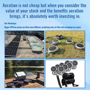 ระบบเติมอากาศบ่อ<span class=keywords><strong>ปลา</strong></span>พลังงานแสงอาทิตย์ 350 วัตต์ พร้อมชุดปั๊มครบชุด ตัวเครื่องสแตนเลส สำหรับฟาร์มกุ้งและ<span class=keywords><strong>ปลา</strong></span>ขนาดใหญ่ เสียงเบา ให้ออกซิเจน - Product Image 5