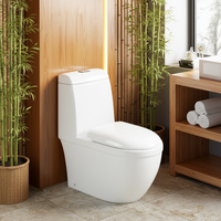 WC monobloc en céramique moderne, vente en gros d'articles sanitaires, cuvette de toilettes pour appartement