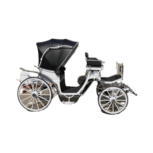 Carruaje Real de Caballos - Product Image 2