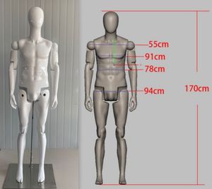 HM04 Mannequin masculin personnalisable pour <span class=keywords><strong>l</strong></span>'affichage d'armures, petit support, <span class=keywords><strong>expositions</strong></span> muséales, mannequin robot réglable - Product Image 1