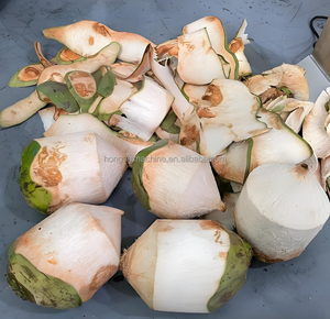 Macchina per Sbucciare Cocco Verde a Forma di Diamante di Sesta Generazione/Macchina per Tagliare <span class=keywords><strong>il</strong></span> Cocco in Vendita - Product Image 6
