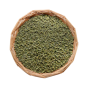 Frijoles Mung verdes de grado premium limpios a máquina Frijoles Mung verdes orgánicos a granel