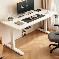 Bureau électrique réglable en hauteur avec surface en fibre de bois, bureau de jeu pour ordinateur, ergonomique, pour le travail à domicile