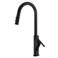 Robinet de cuisine noir mat avec douchette extractible et modes de jet double, monocommande à arc haute pour évier de cuisine domestique