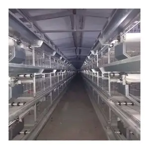 1/6 Commercial Prefabricated Steel Structure Poultry Egg Chicken House Design for 1000 Chickens Layers