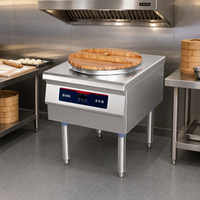 Plaque de cuisson électrique commerciale en acier inoxydable 5KW avec options de plaques en aluminium peu profondes et profondes