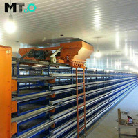 Cage automatique pour cailles élevage ventes